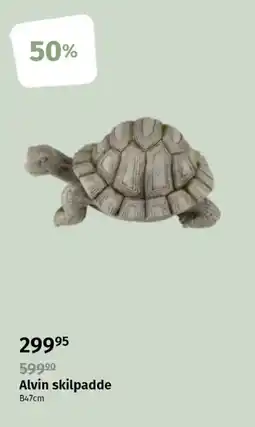 Nille Alvin skilpadde tilbud