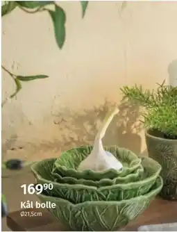 Nille Kål bolle tilbud