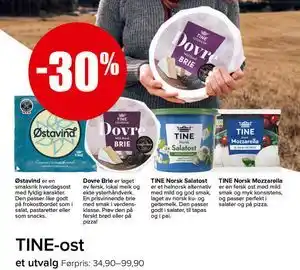 Spar TINE-ost tilbud
