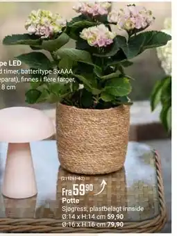 Europris Potte tilbud