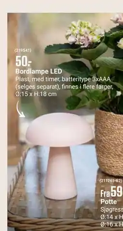 Europris Bordlampe LED tilbud