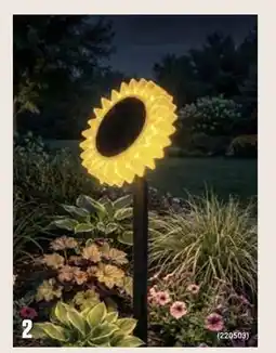 Europris Solsikke solcelle tilbud