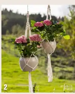 Europris Blomsterpotte tilbud