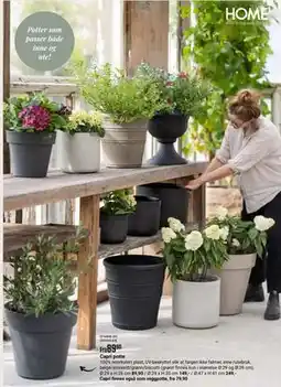 Europris Capri potte tilbud