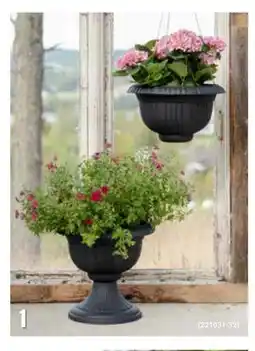 Europris Pokal potte tilbud