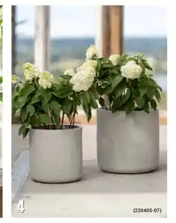 Europris Ystad potte tilbud