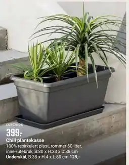 Europris Chili plantekasse tilbud