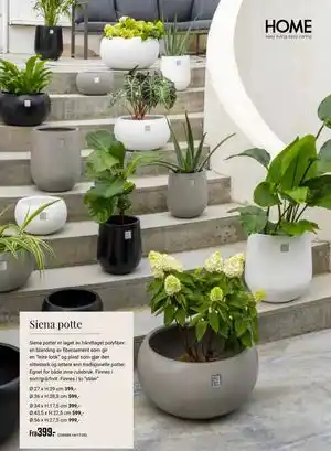 Siena potte