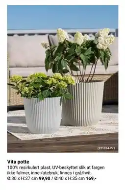 Europris Vita potte tilbud