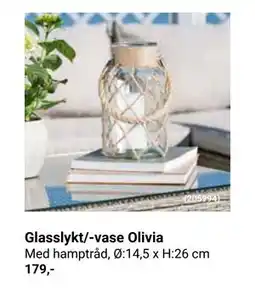 Europris Glasslykt/-vase Olivia tilbud