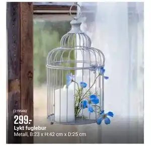 Lykt fuglebur