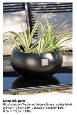 Europris Siena skål potte tilbud