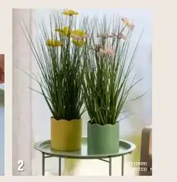 Europris Blomsterpotte tilbud