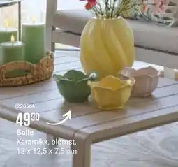 Europris Bolle tilbud