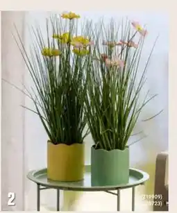 Europris Gress i potte tilbud