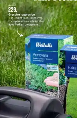 Europris Gressfrø reparasjon tilbud