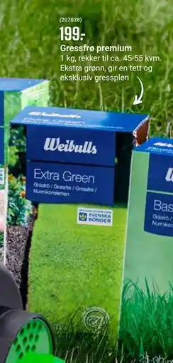 Europris Gressfrø premium tilbud