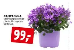 jem & fix CAMPANULA tilbud