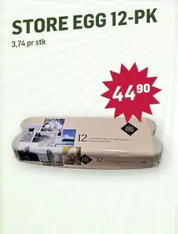 Holdbart STORE EGG 12-PK tilbud
