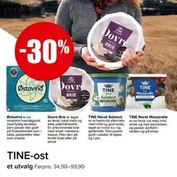 Spar TINE-ost tilbud