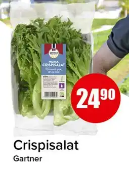 Spar Crispisalat tilbud