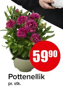 Spar Pottenellik tilbud