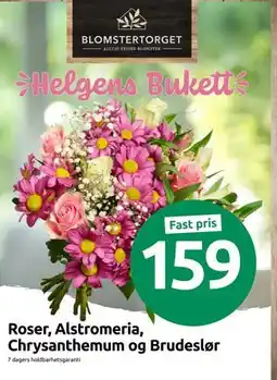 Joker Roser, Alstromeria, Chrysanthemum og Brudeslør tilbud