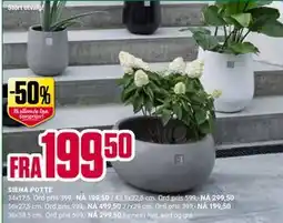 Europris SIENA POTTE tilbud