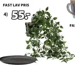 JYSK OLIVER kunstig plante tilbud