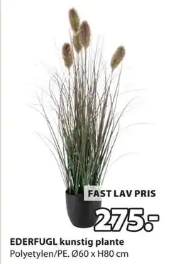 JYSK EDERFUGL kunstig plante tilbud