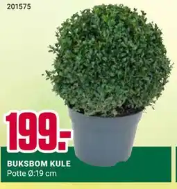 Europris BUKSBOM KULE tilbud