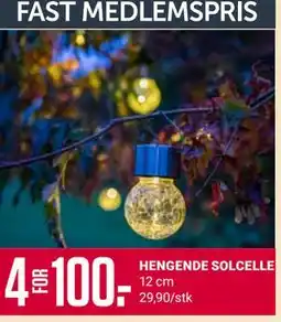 Europris HENGENDE SOLCELLE, Medlemspris tilbud