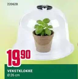 Europris VEKSTKLOKKE tilbud