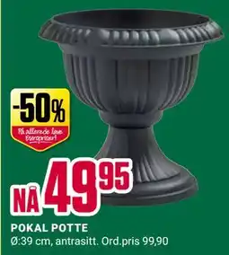 Europris POKAL POTTE tilbud