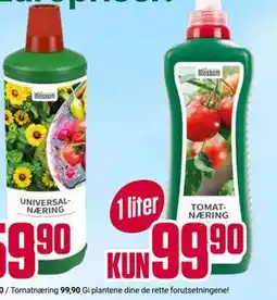 Europris Tomatnæring tilbud