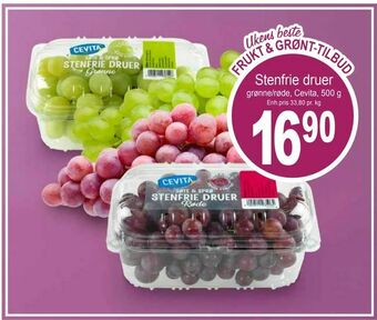 Joker Stenfrie druer tilbud