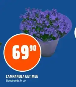 Coop Obs Campanula get mee tilbud