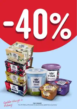 Rema 1000 Tine yoghurt tilbud