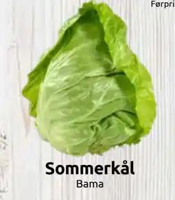 Joker Sommerkål tilbud