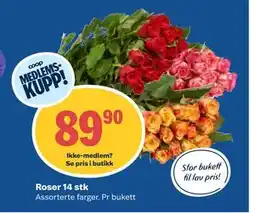 Coop Obs Roser 14 stk, Medlemspris tilbud