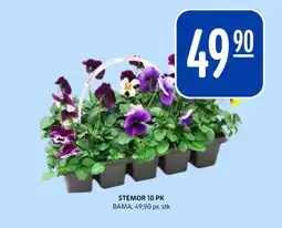 Rema 1000 Stemor 10 pk tilbud