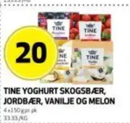 Bunnpris Tine yoghurt skogsbær, jordbær, vanilje og melon tilbud