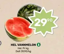 Matkroken HEL VANNMELON tilbud