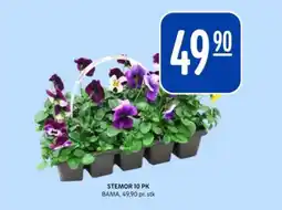 Bunnpris Stemor 10 pk tilbud