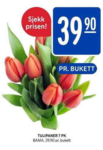 Rema 1000 Tulipaner 7 PK tilbud