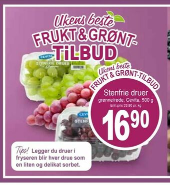 Joker Stenfrie druer tilbud