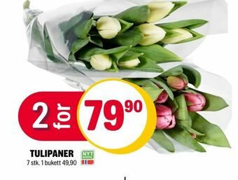 Coop Extra Tulipaner tilbud