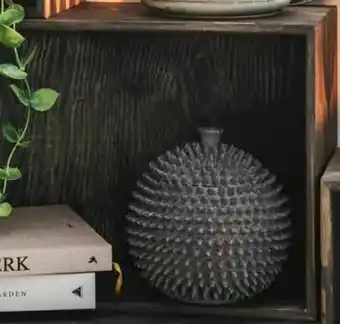 Nille Krukke Spike, m. lokk tilbud