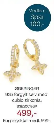 Bjørklund Øreringer tilbud