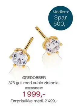 Bjørklund Øredobber 375 gull med cubic zirkonia. tilbud